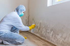 Best Mold Remediation for Vacation Homes  in Flora, IN